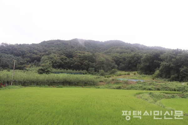 경사가 완만한 백운산 기슭은 배나무 과수원과 다랑이논이 남아있는 전형적인 농촌이다