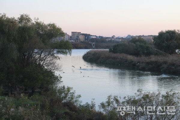 도일천은 고덕면 동고리를 지나 팽성읍 석봉리 앞 안성천 품으로 안긴다.