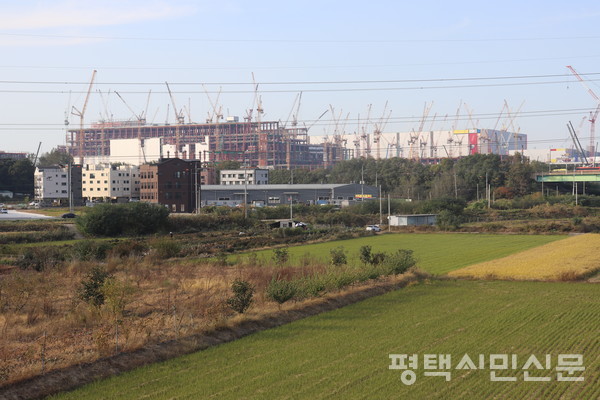 도일천 서쪽 지제동 농경지에 원룸단지 건축이 활발하다