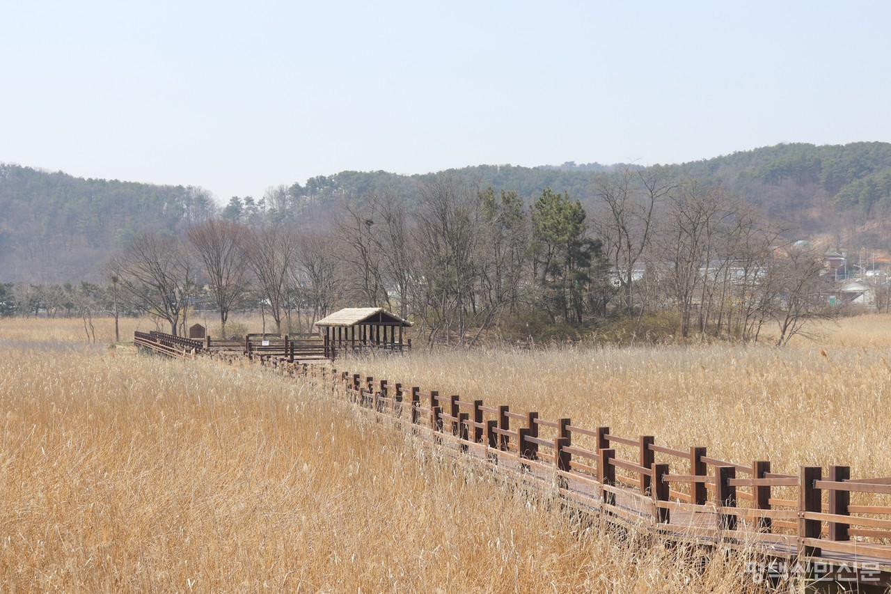 화성시 비봉습지공원은 비교적 자유롭게 습지를 둘러볼 수 있는 힐링 공간이다.