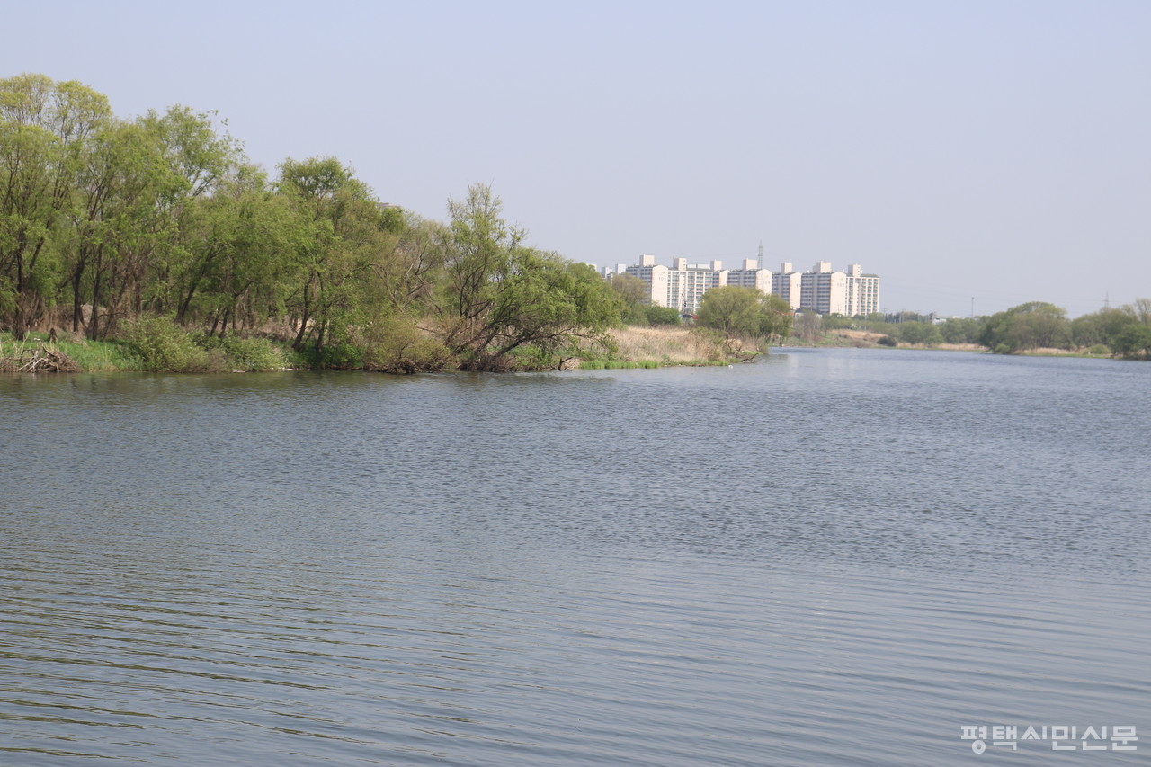 안성천 군문교 인근 하천 습지는 천연기념물 수달의 서식지이고, 겨울에는 고니를 비롯한 수많은 철새들이 월동을 하는 습지이다.