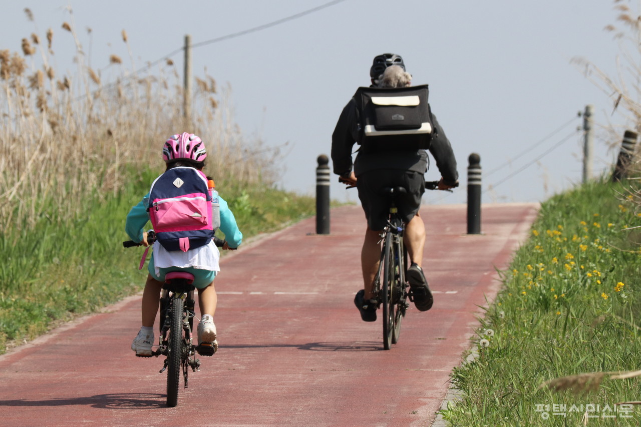 봄바람이 불고 강변에 들꽃이 피자 안성천 자전거도로에 자전거를 타고 나온 가족들