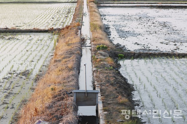 수로에 설치된 수문을 조작해 논에 물을 댄다