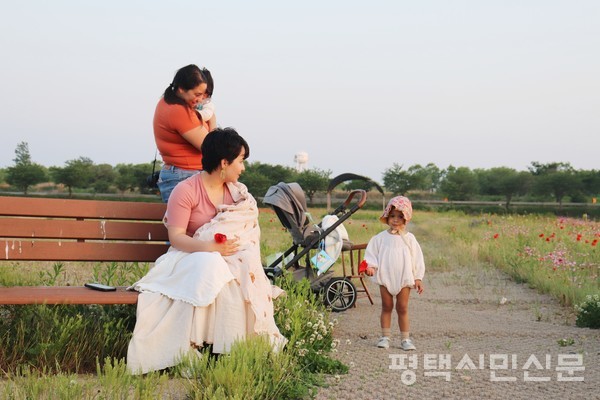오성 창내리 꽃밭에 미국인들이 행복한 시간을 즐기고 있다