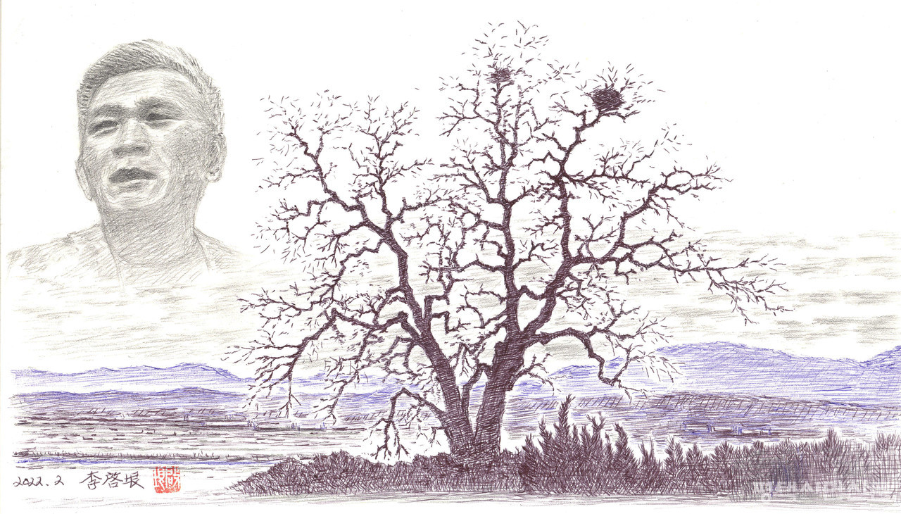 노양리 회화나무와 노을