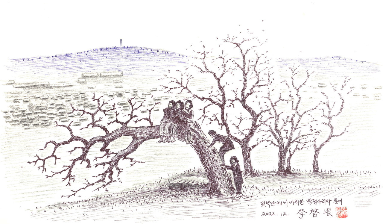 됫박산에서 바라본 합정4리와 통미