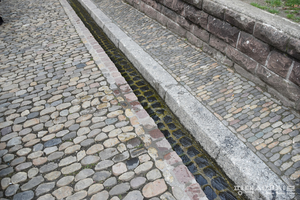 독일 프라이부르크시의 공기정화와 도시 열을 식혀주는 역할을 하는 인공 수로 베히레