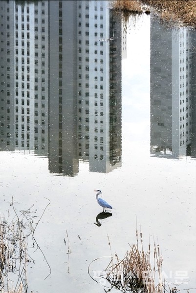 구은미 '여기 어디'