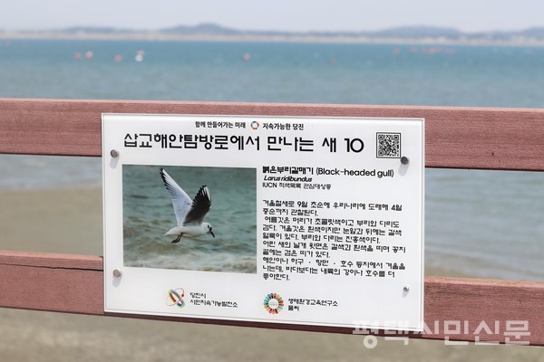삽교해안 탐방로를 따라 아산만 갯벌에 서식하는 새들을 설명하는 안내판을 볼 수 있다.