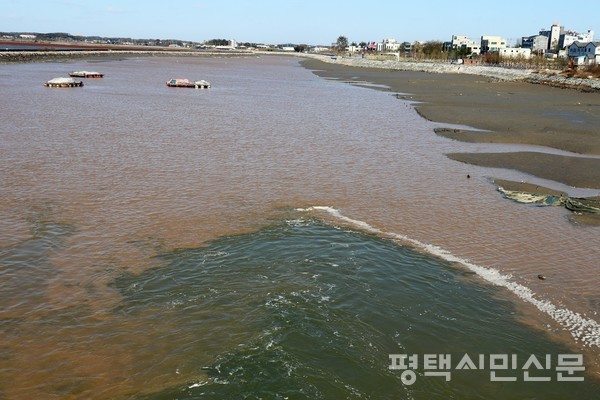 평택항만 배수로 하류 권관리는 폭이 200미터이다. 밀물에 바닷물이 배수로 안쪽으로 밀려간다.