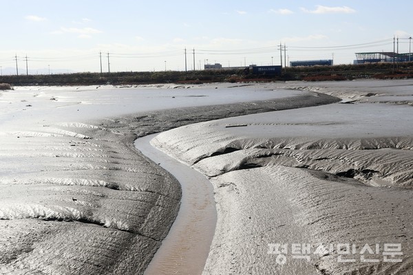 평택항만 배수로 안에 남아있는 오래된 갯벌 사이로 빗물이 뱀처럼 흘러 서해로 나간다. 배수로에는 밀물 썰물에 따라 바닷물이 드나든다