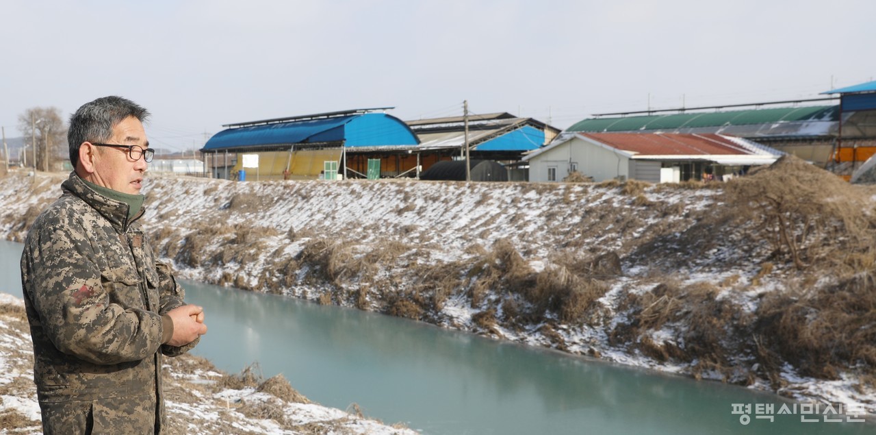 1월 23일 오전 청북읍 어소리에서 축산농가를 운영하는 조종석씨가 에틸렌다이아민에 오염돼 파랗게 변한 하천을 걱정스럽게 바라보고 있다. 