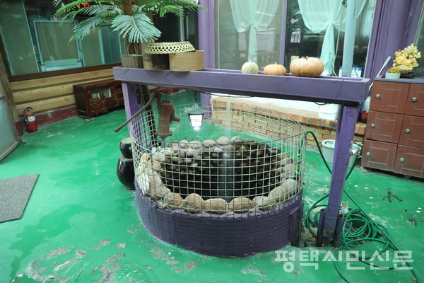 우물에 살아있는 장어가 보관됐다.