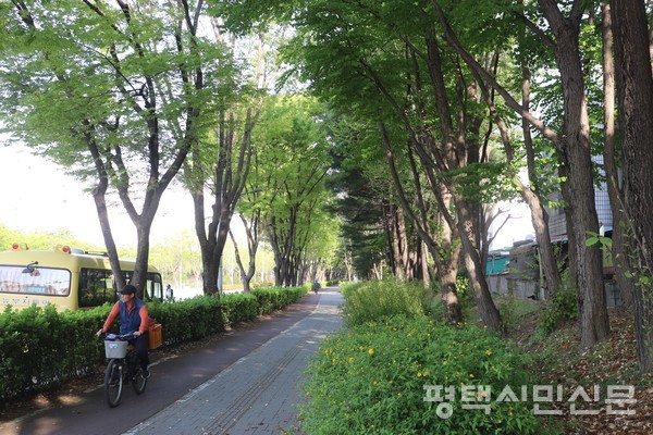 경기대로 비전동 자전거도로를 따라 싱그러운 숲속을 달린다