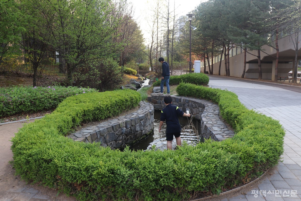 소사벌지구 소리수변공원 실개천에 물고기 잡기 놀이를 하는 아이들