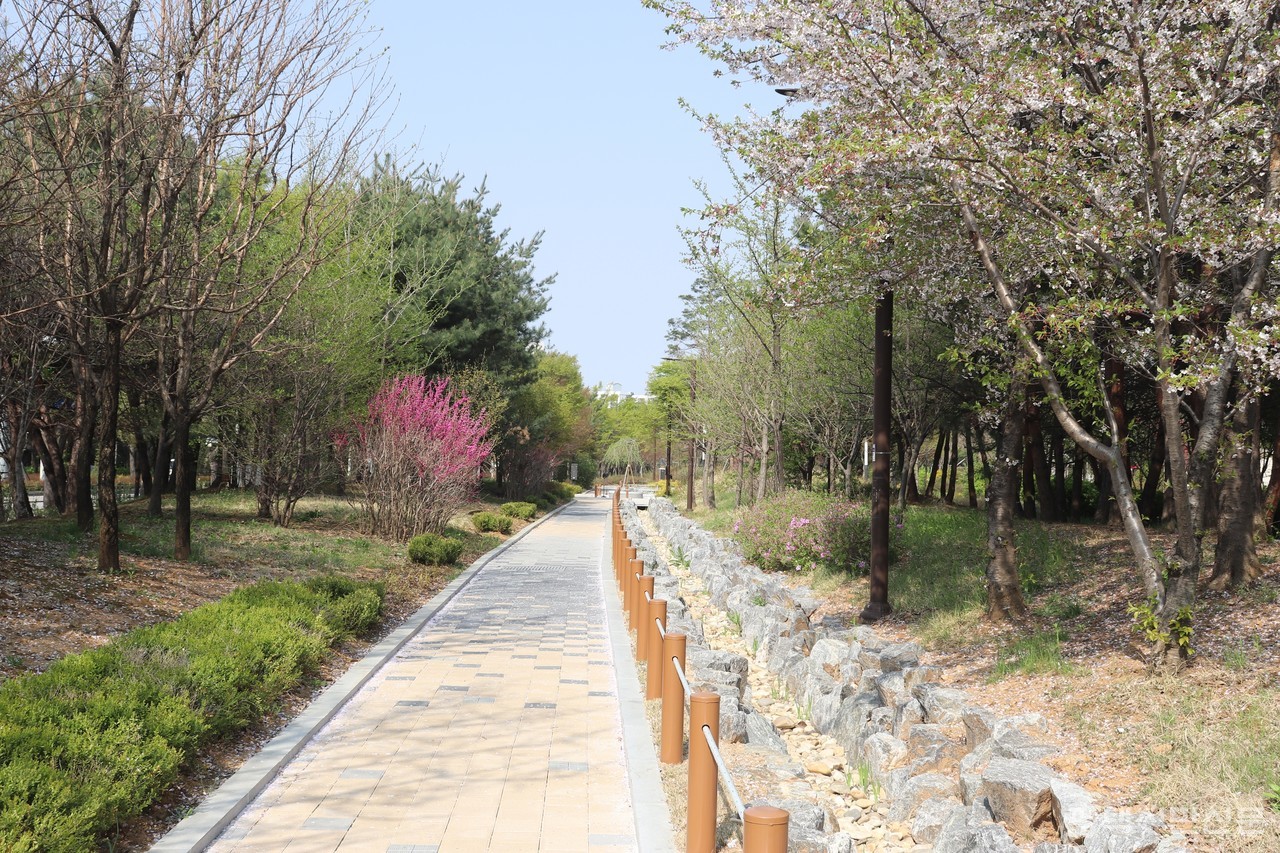 스마트 그린도시 물순환 사업으로 조성된 실개천과 투수블럭 산책로