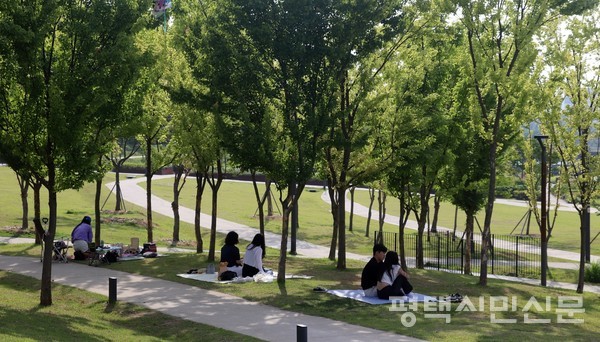호수공원 산책로 사이 나무그늘에서 연인들이 돗자리를 펴고 앉아  시원한 봄바람을 즐기고 있다.