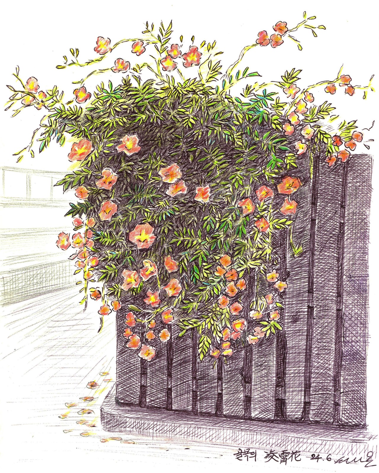 통복시장-능소화.