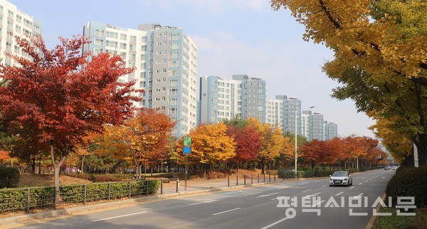 소사벌지구 완충녹지의 숲이 아름다운 도로경관