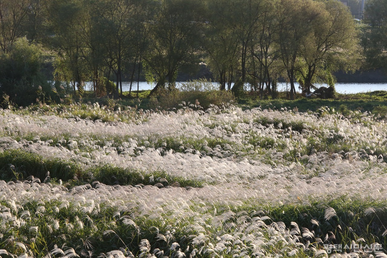 제공=허동 사진작가
