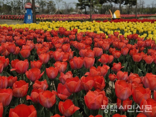 농업생태원 2025 평택꽃나들이