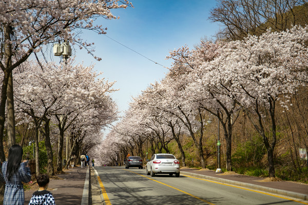 은혜로 /평택시 제공