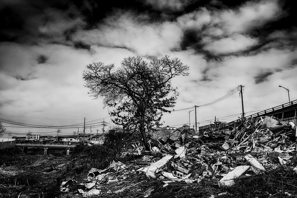 최현석 作 [통복고가]