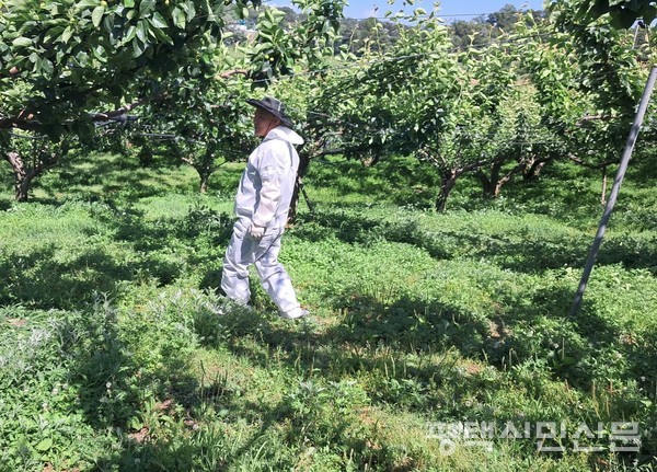 평택시농업기술센터는 5월 26일 청룡동에 있는 사과 농가에서 과수화상병 의심 증상 신고를 받고 경기도농업기술원과 협력해 정밀진단을 진행해 양성으로 판정했다. 이에 5월 30일 과수화산병 발생 농가를 대상으로 공적 방제를 하고 있다.