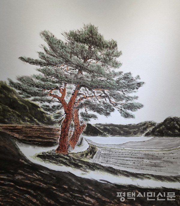 남철우 작가의 ‘고향소나무’
