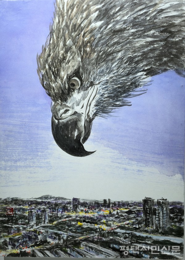 전지적 관점, 70x50cm