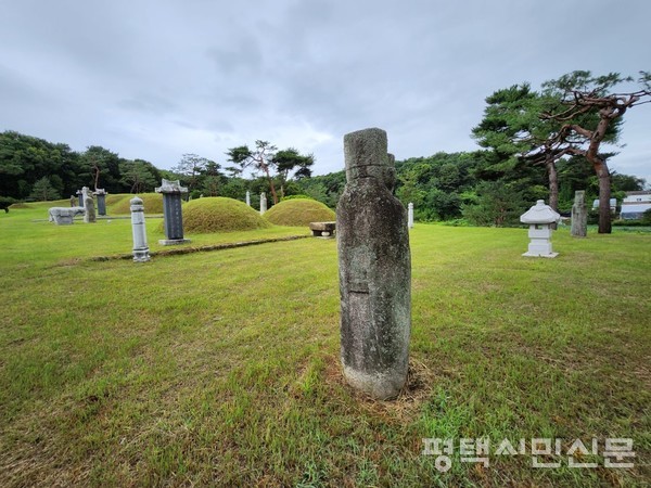 오좌동에 있는 수성군 최유림 장군 묘